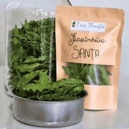 Chá de Espinheira-santa 10g - Image 6